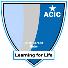 Abuja Capital International college